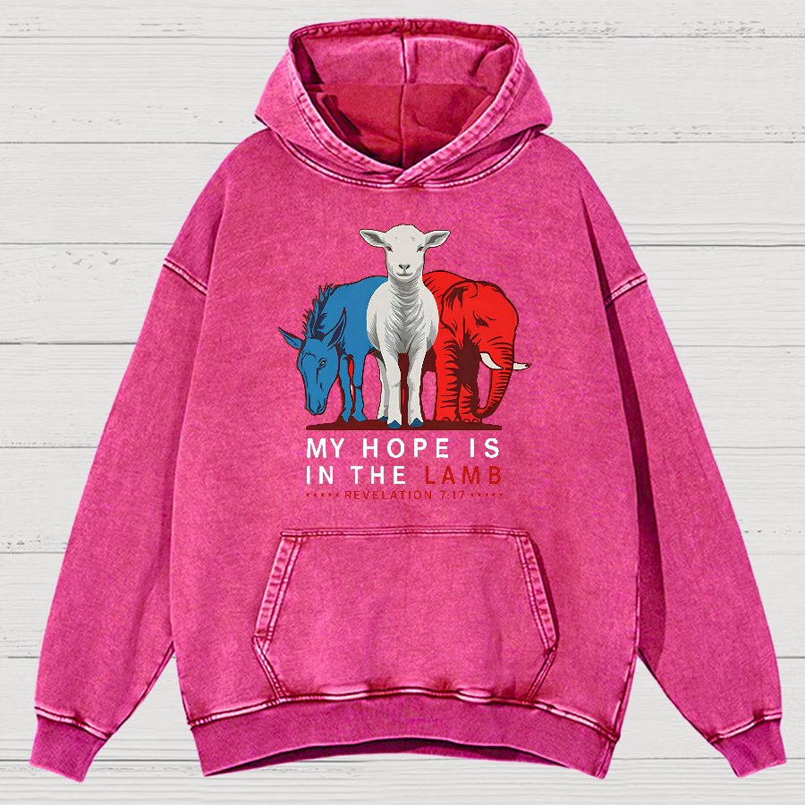 My Hope Is In The Lamb Vintage Distressed Hoodie