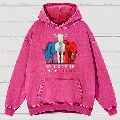 My Hope Is In The Lamb Vintage Distressed Hoodie