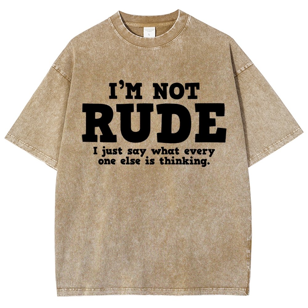 I'm not Rude I Just Have The Balls to Say What Everyone Else is Thinking Vintage Distressed T-shirt