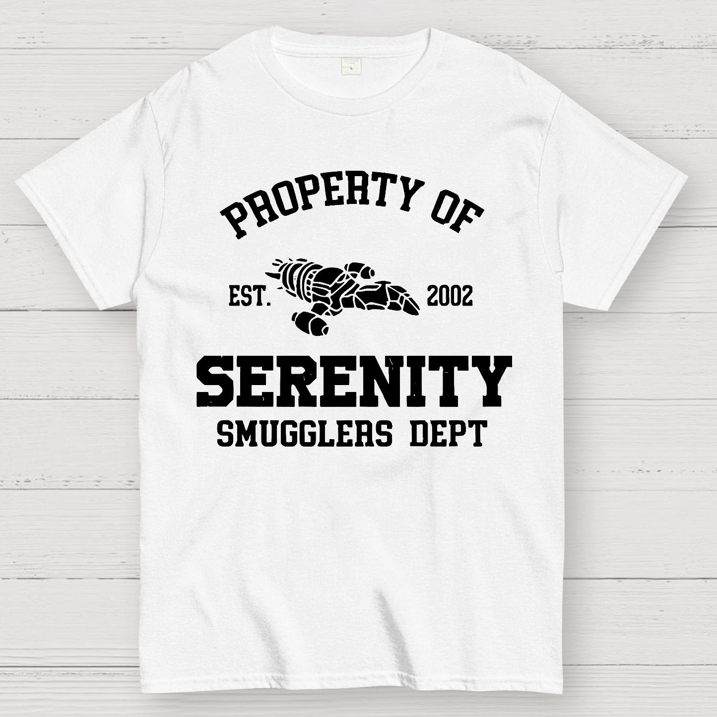 Property of Starlight Geek T-Shirt