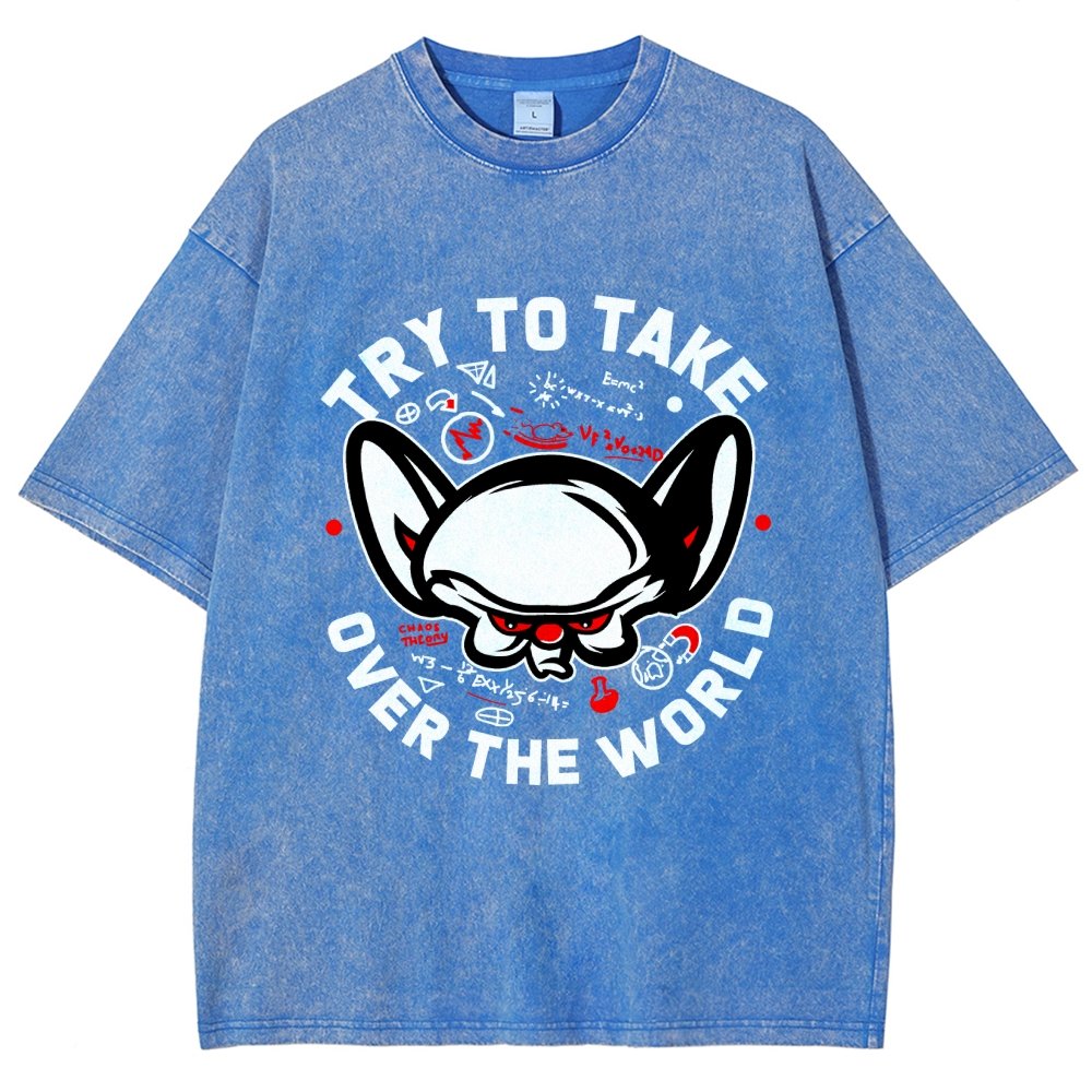 Take Over The World Vintage Distressed T-shirt