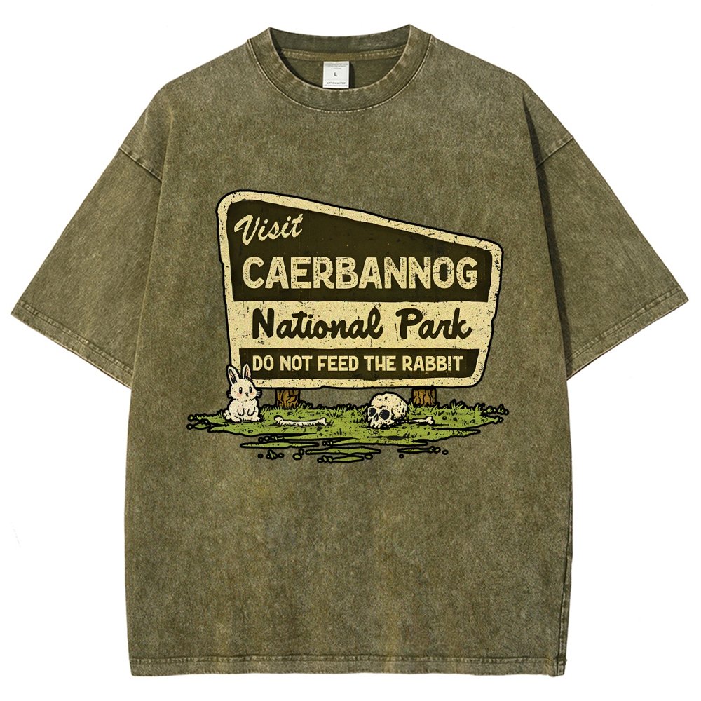 Mystic Valley National Park Vintage Distressed T-shirt
