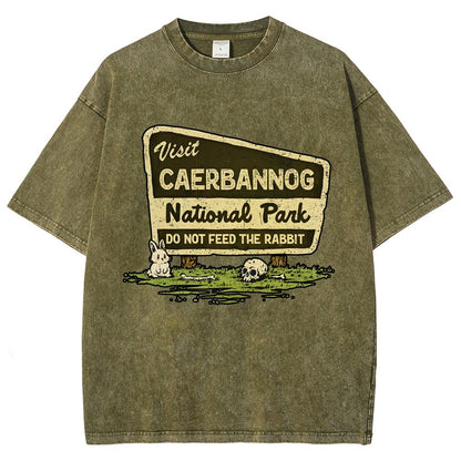 Mystic Valley National Park Vintage Distressed T-shirt