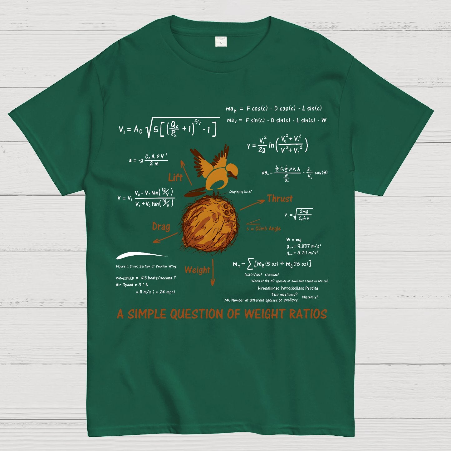 A Simple Question Geek T-Shirt