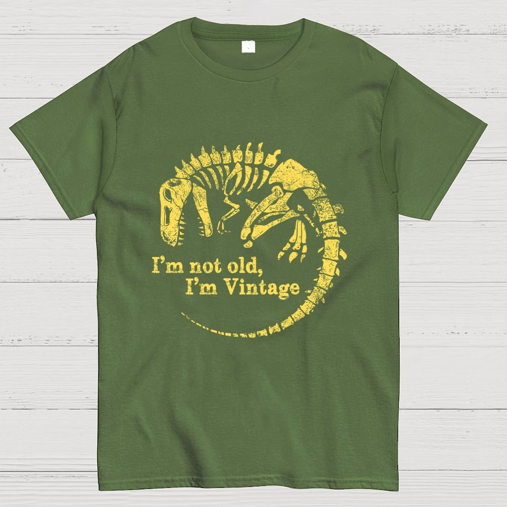 I'm Not Old I'm Vintage Geek T-Shirt