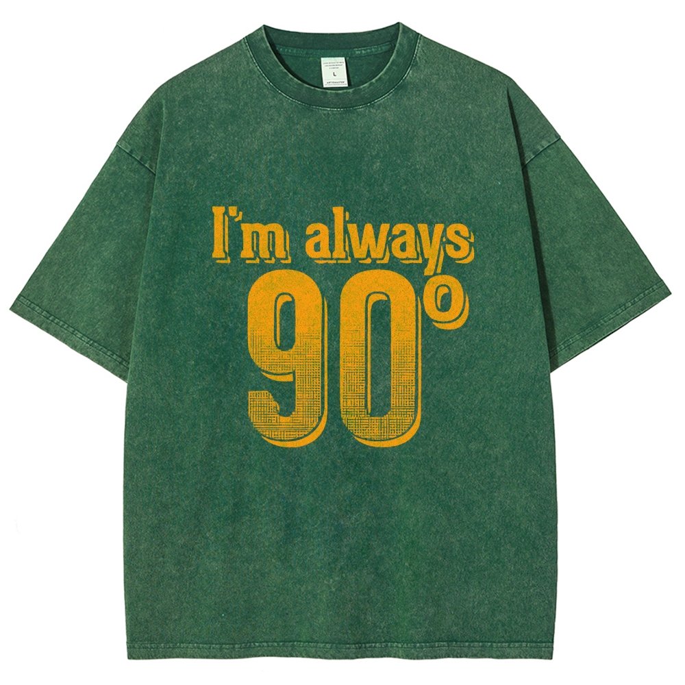I'm Always Right Math Vintage Distressed T-shirt