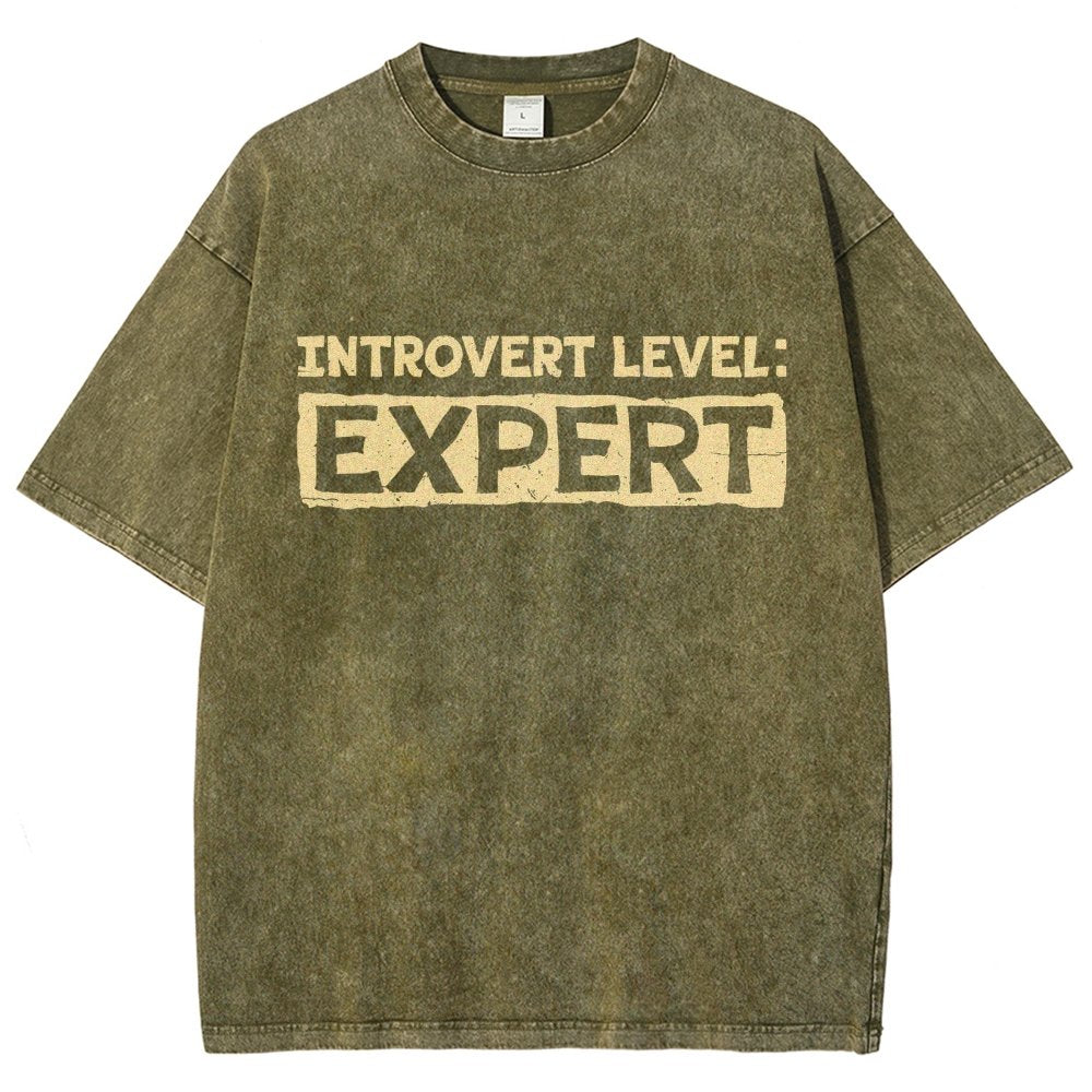 Introvert Level:Expert Vintage Distressed T-shirt