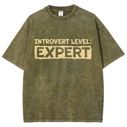Introvert Level:Expert Vintage Distressed T-shirt