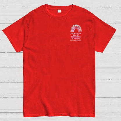 Your Little Ray of Sarcastic Sunshine Has Arrived Front And Back Printing Geek T-Shirt
