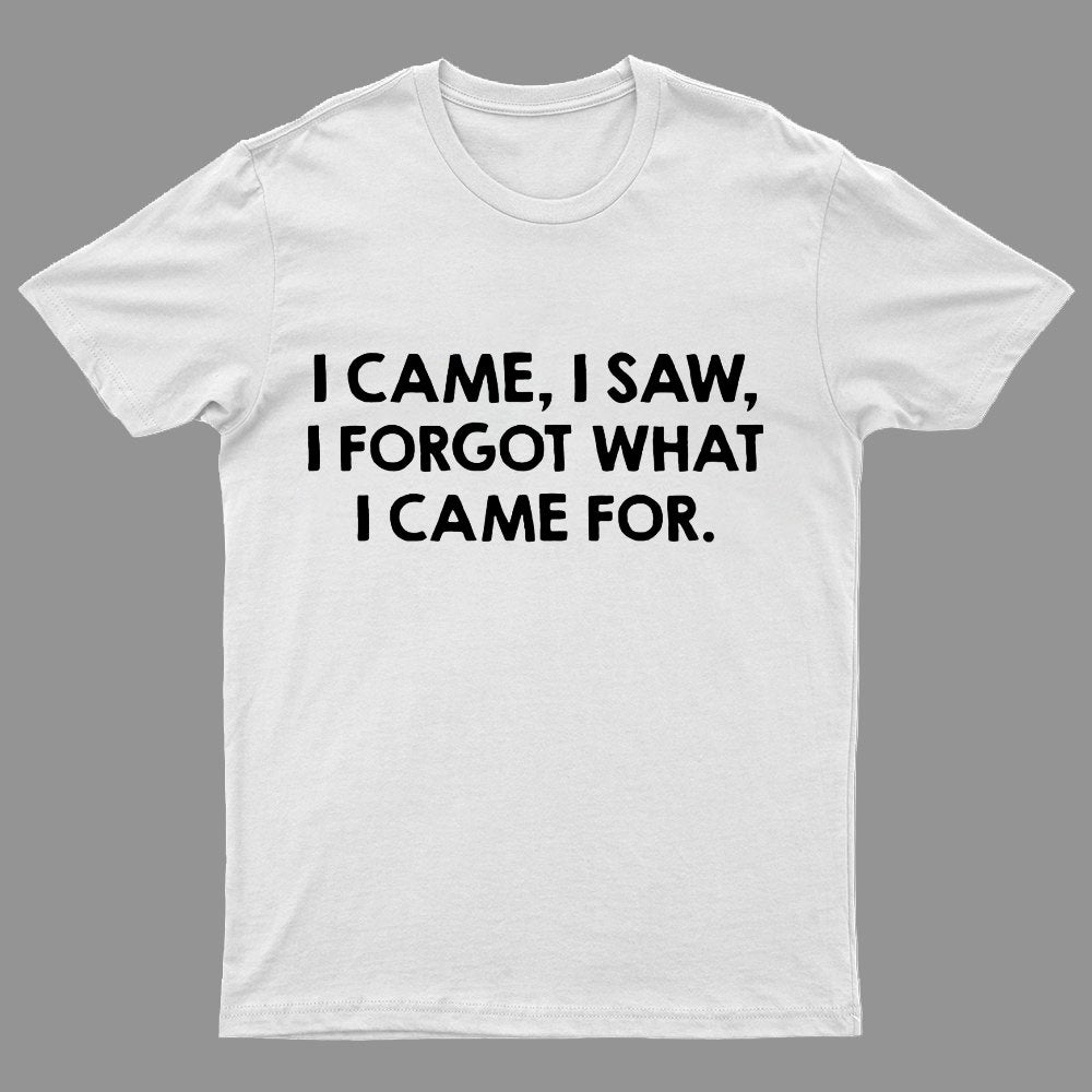 I Came and Saw Funny Geeky T-Shirt