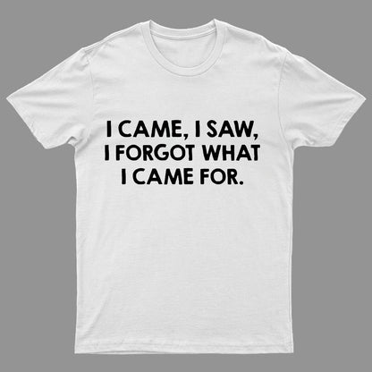 I Came and Saw Funny Geeky T-Shirt