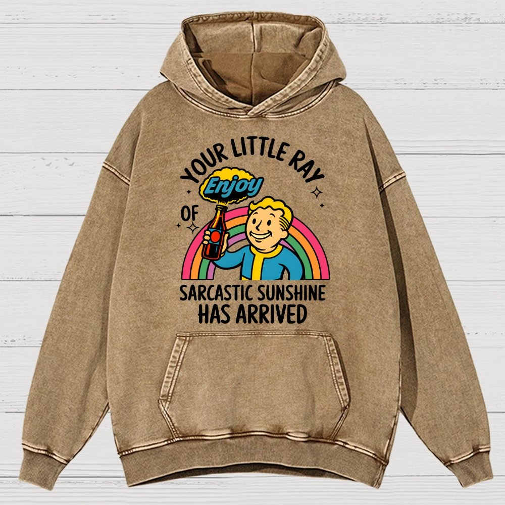 Your Little Ray Of Sarcastic Sunshine Has Arrived Vintage Distressed Hoodie