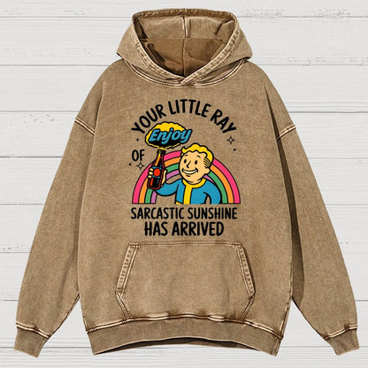 Your Little Ray Of Sarcastic Sunshine Has Arrived Vintage Distressed Hoodie