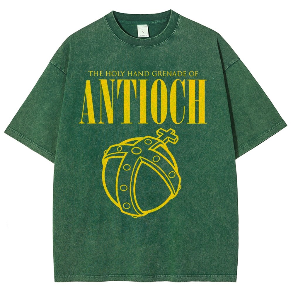The Holy Hand Grenade of an Ancient Place Vintage Distressed T-shirt