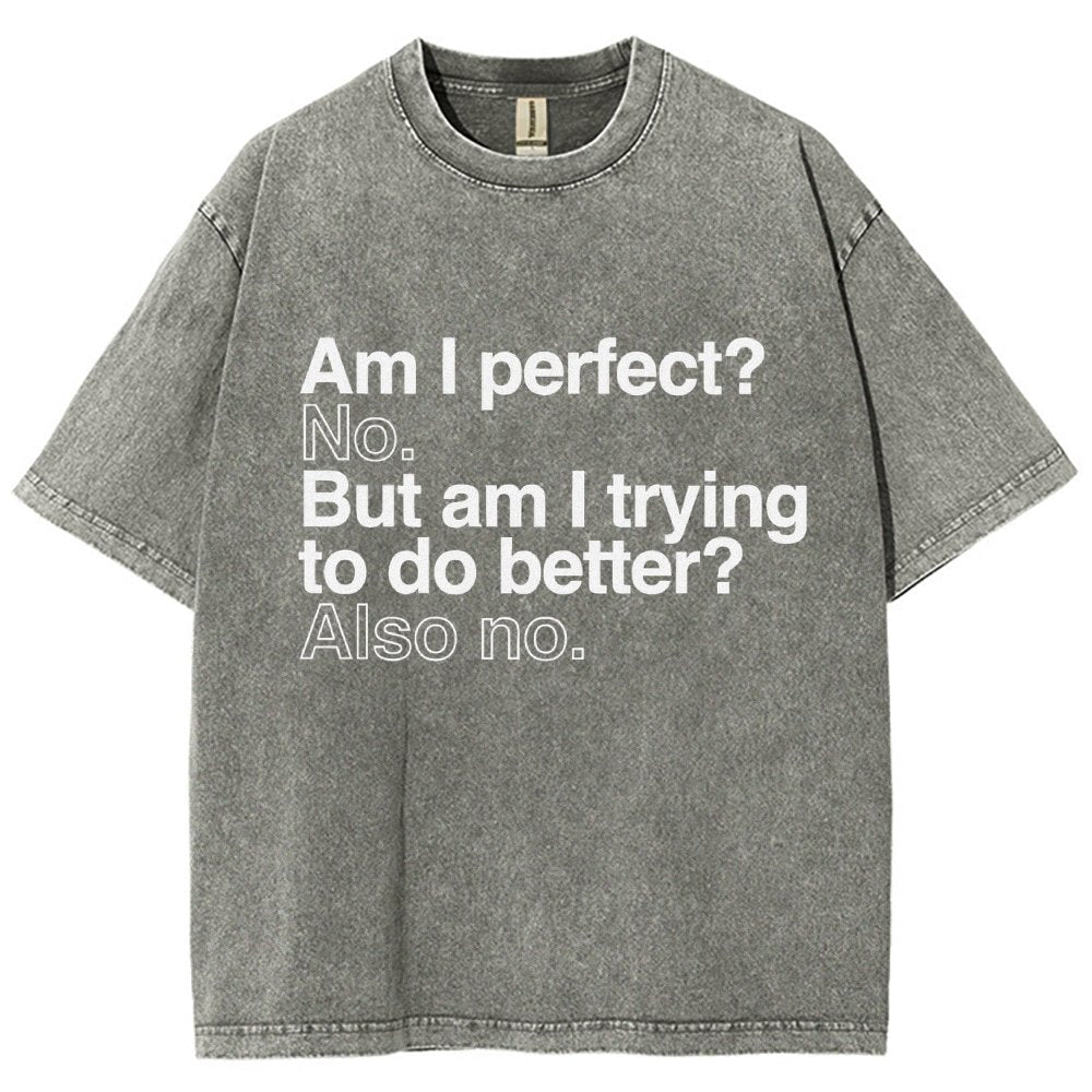Am I Perfect? No. Am I Trying To Be Better Person Vintage Distressed T-shirt