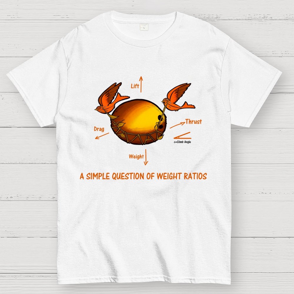 A Simple Question Of Weight Ratios Geek T-Shirt