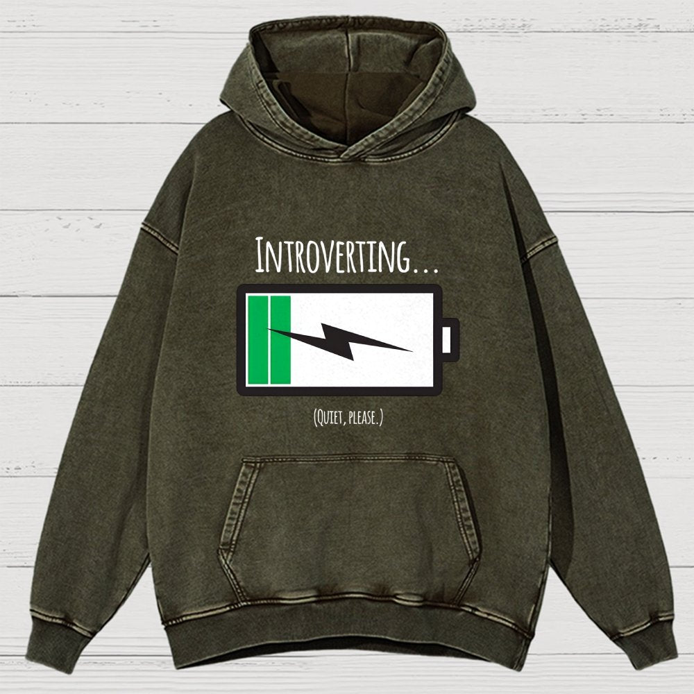 Introverting Vintage Distressed Hoodie