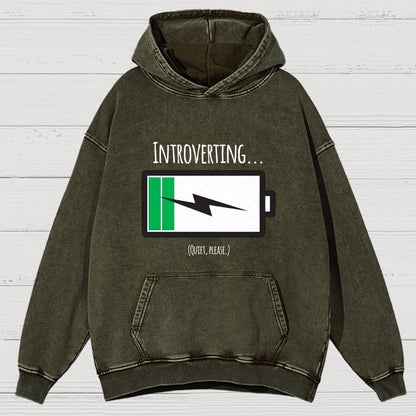 Introverting Vintage Distressed Hoodie