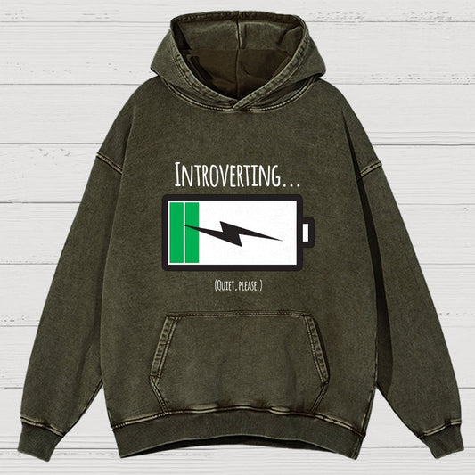 Introverting Vintage Distressed Hoodie