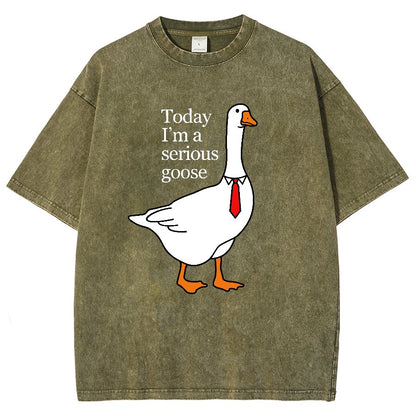 Today I'm A Serious Goose Vintage Distressed T-shirt