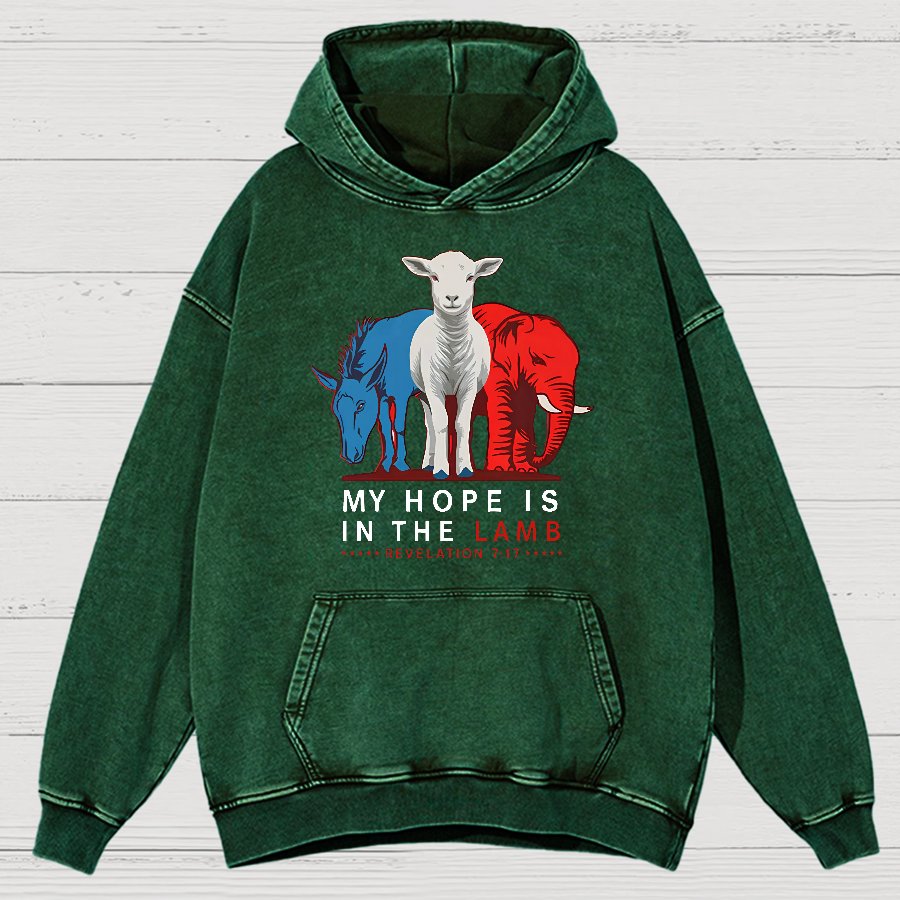 My Hope Is In The Lamb Vintage Distressed Hoodie