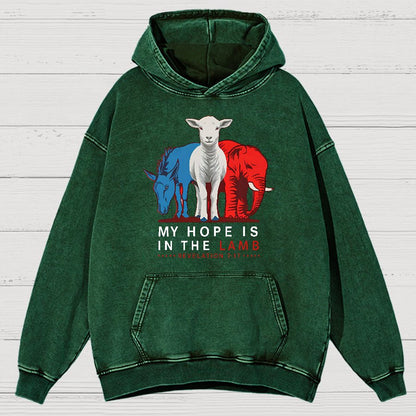 My Hope Is In The Lamb Vintage Distressed Hoodie