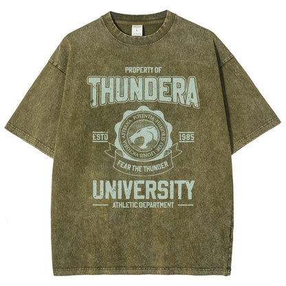 Mystic Valley University Vintage Distressed T-shirt