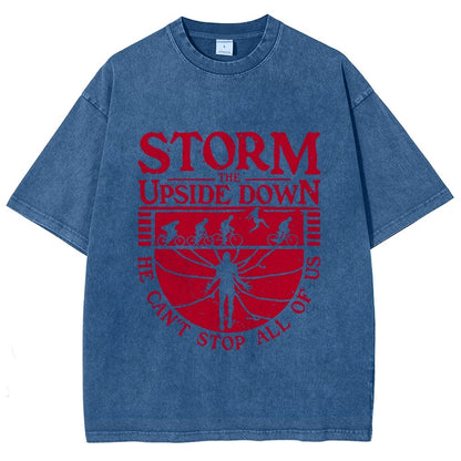 Storm The Mysterious Realm Vintage Distressed T-shirt