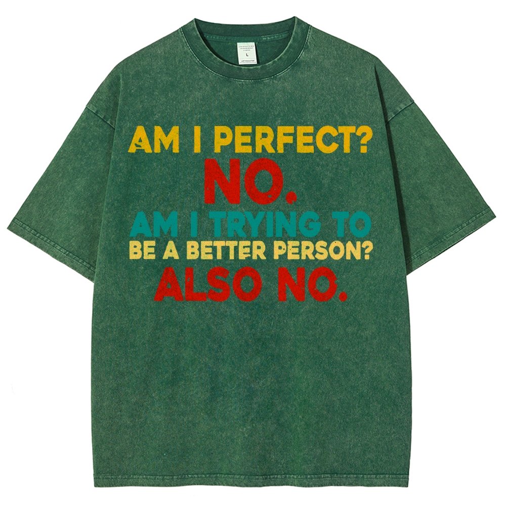 Am I Perfect No Am I Trying To Be A Better Person Also No Funny Quote Vintage Distressed T-shirt