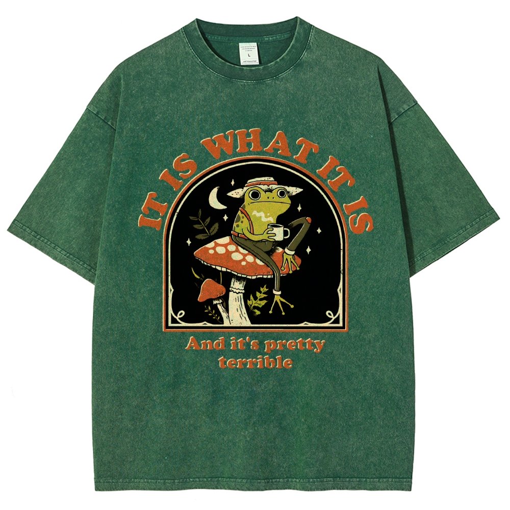 It Is What It Is And It's Pretty Terrible Vintage Distressed T-shirt