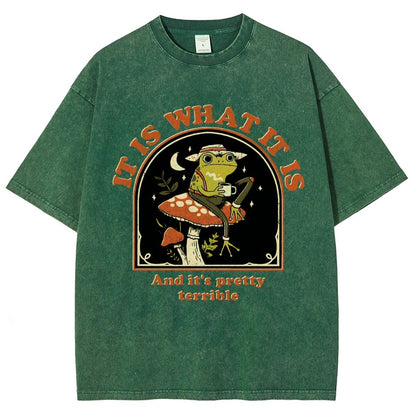 It Is What It Is And It's Pretty Terrible Vintage Distressed T-shirt