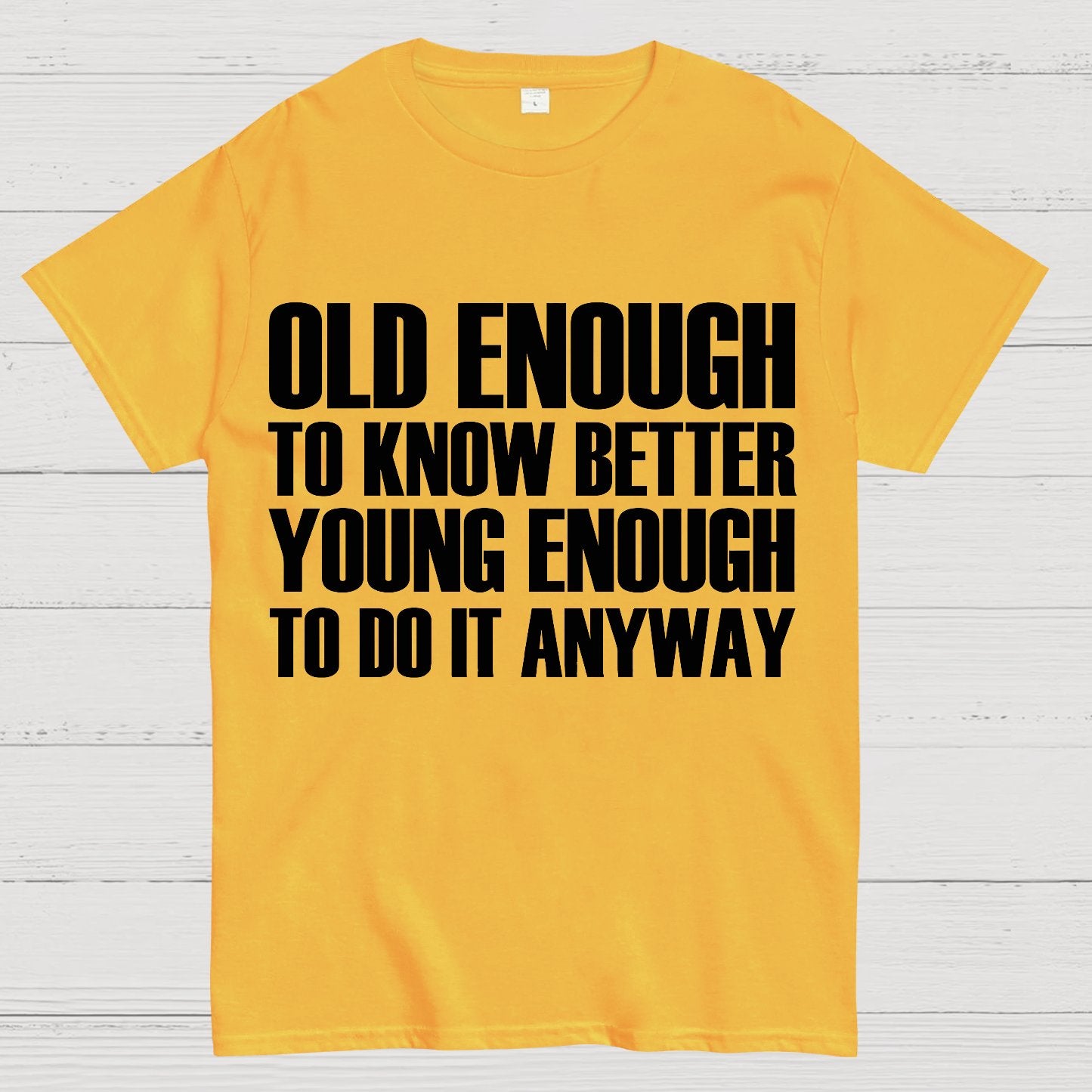 Old Enough To Know Better Young Enough To Do It Anyway Geek T-Shirt