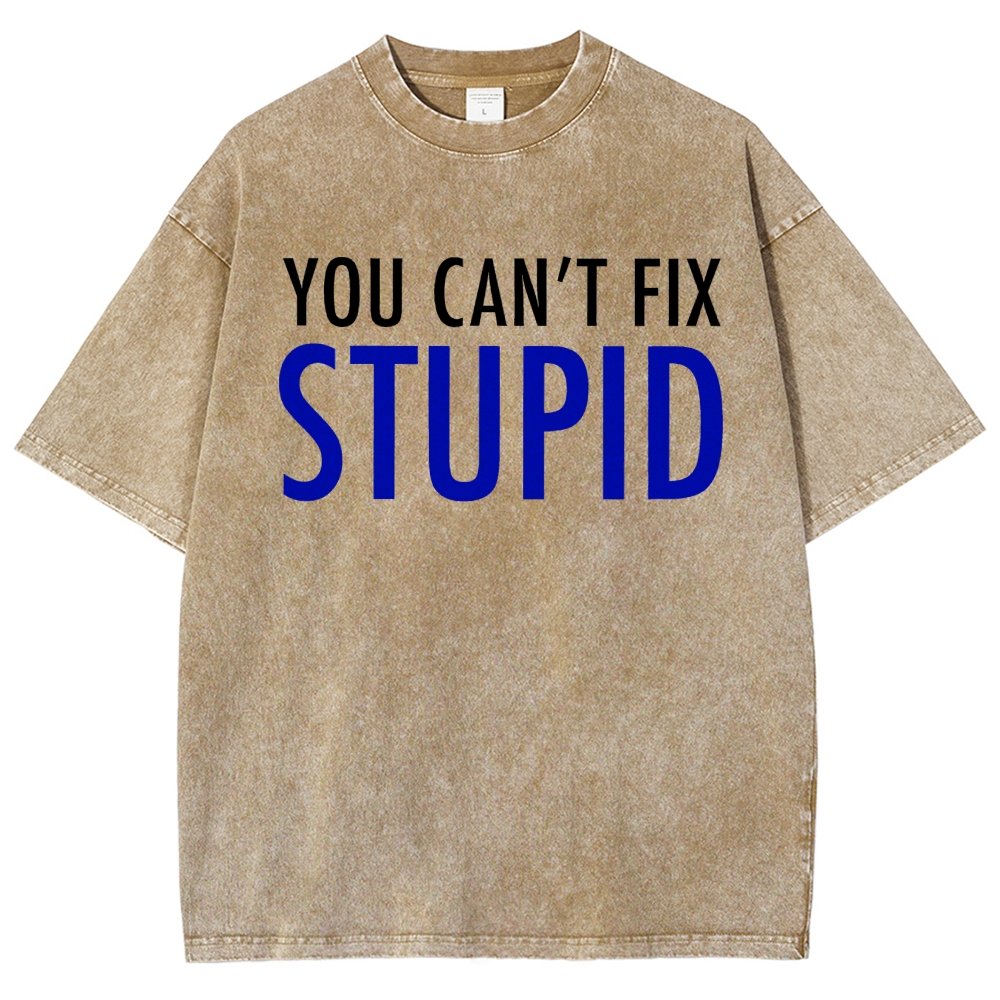 You Can’T Fix Stupid Vintage Distressed T-shirt