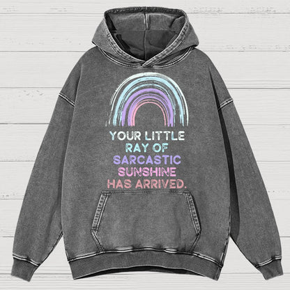 Your Little Ray of Sarcastic Sunshine Has Arrived Vintage Distressed Hoodie
