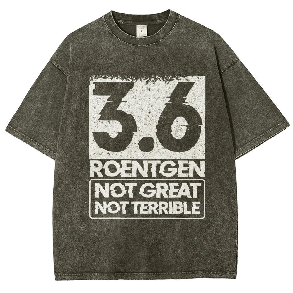 3.6 Roentgen Not Great Not Terrible Vintage Distressed T-shirt