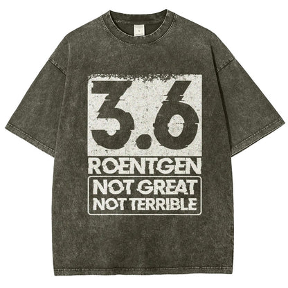 3.6 Roentgen Not Great Not Terrible Vintage Distressed T-shirt