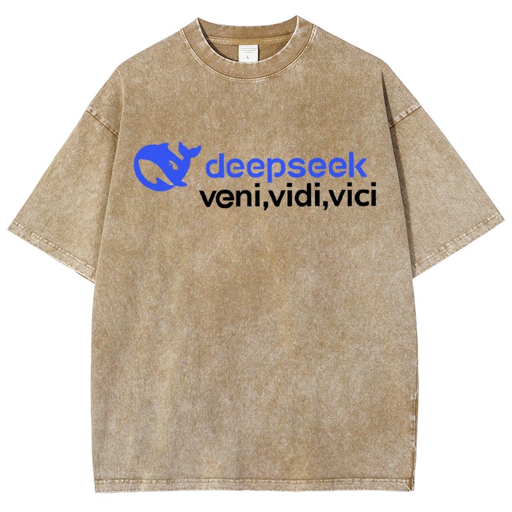 Deepseek R1 Graphic Vintage Distressed T-shirt