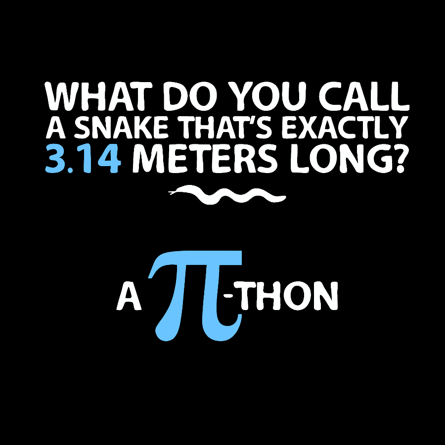 Funny Math Humor Snake Reptile 3.14 Pi Students Kids Geek T-Shirt