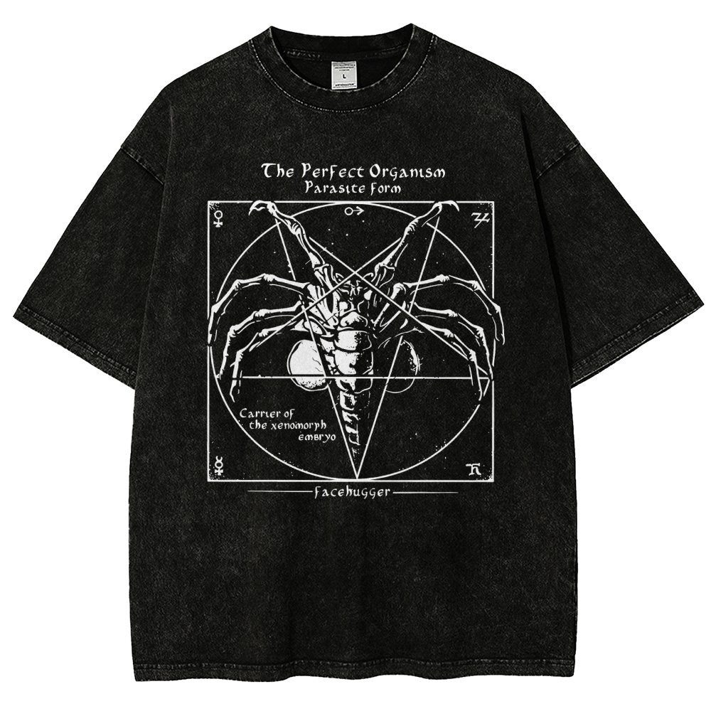 Mystery Pentagram Vintage Distressed T-shirt