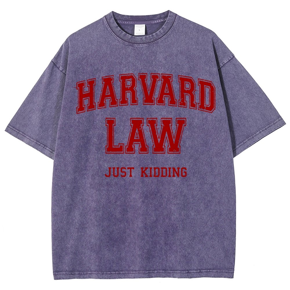 Harvard Law (Just Kidding)  Vintage Distressed T-shirt