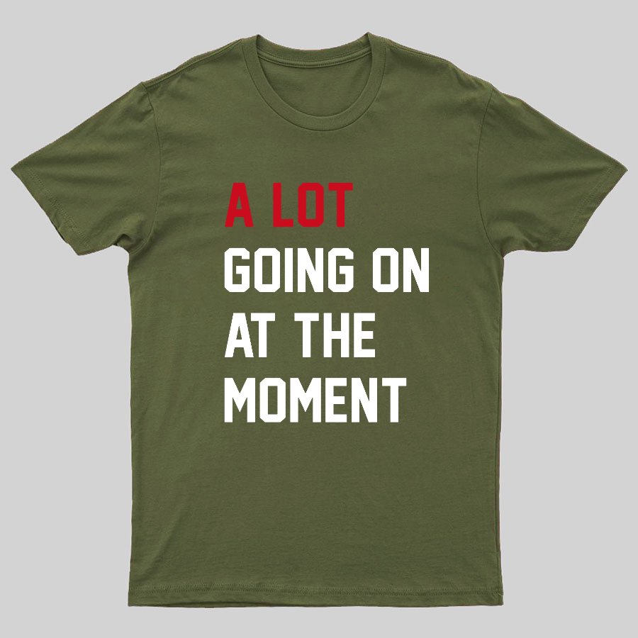 A Lot Going On at The Moment Geeky T-Shirt