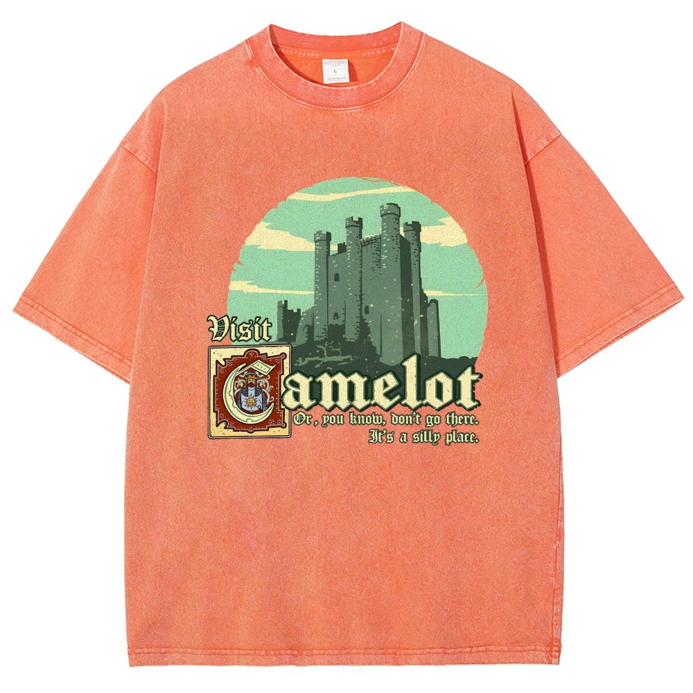 Silly Place Vintage Distressed T-shirt