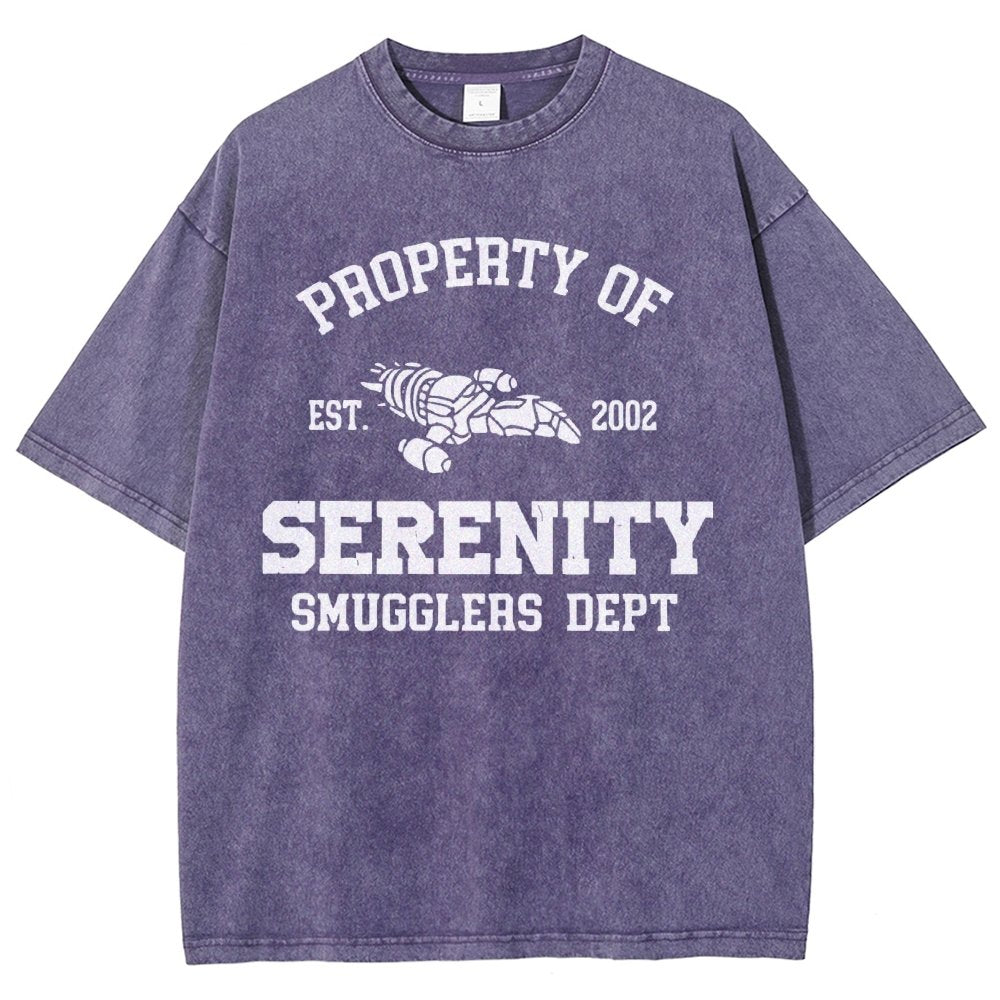 Property of Starlight Vintage Distressed T-shirt