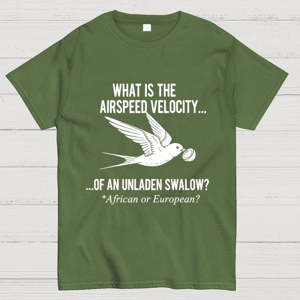 What Is The Airspeed Velocity...Art Print Geek T-Shirt