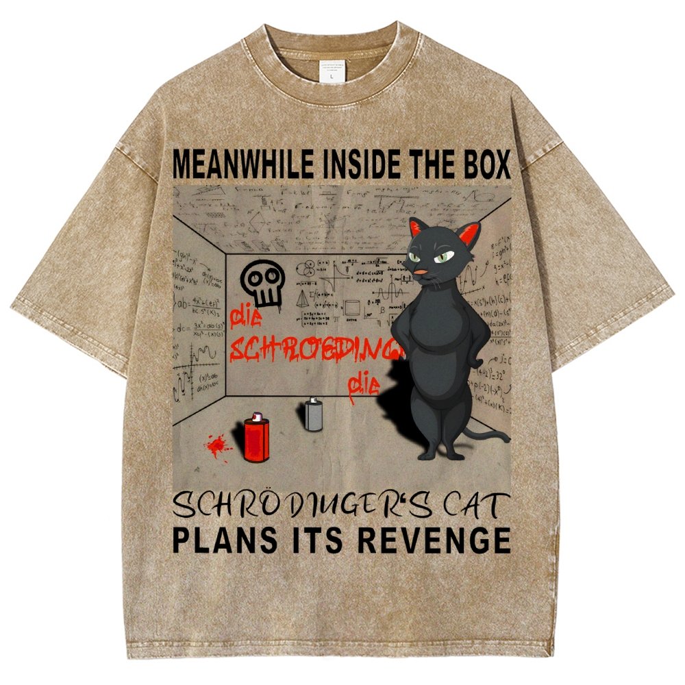 Inside The Box：Schrödingers Cat Plans Its Revenge Vintage Distressed T-shirt