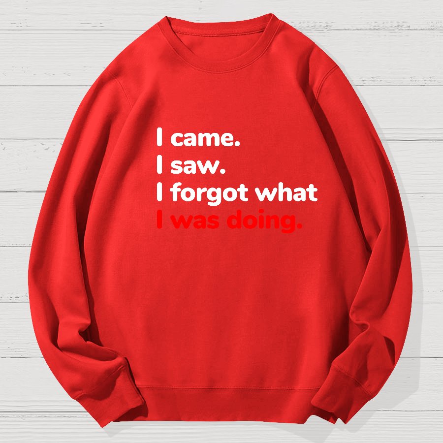 I Came. I Saw. I Forgot What I Was Doing Geek Cotton Sweatshirt