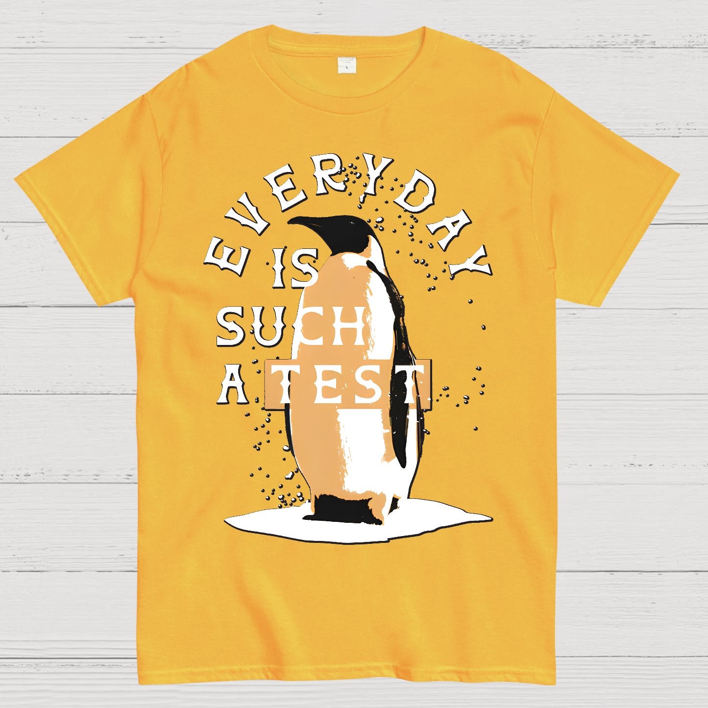 Everyday Is Such A Test Geek T-Shirt