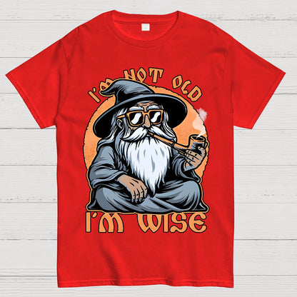 Wise Old Wizard Geek T-Shirt