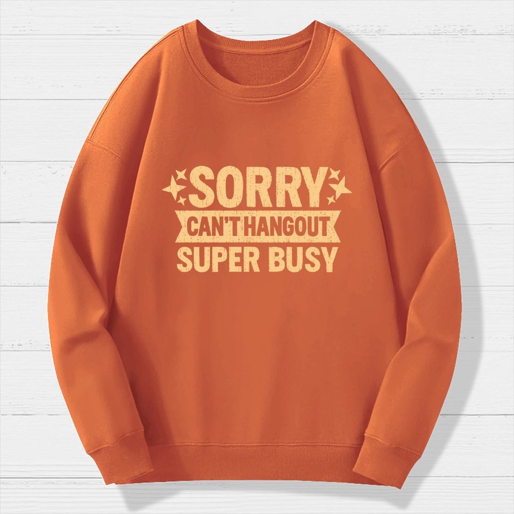 Sorry — Can’T Hang Out — Super Busy Geek Cotton Sweatshirt