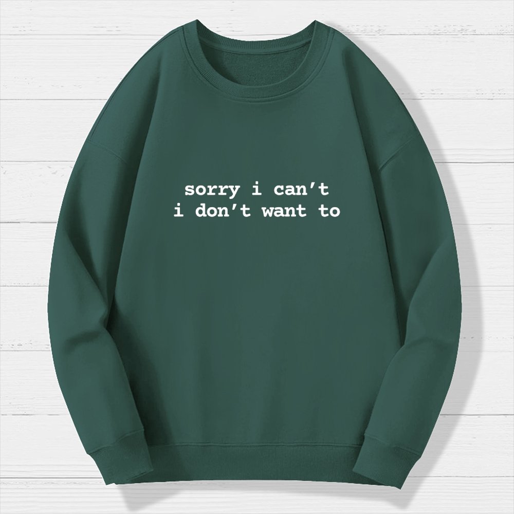 Sarcastic  Humorous  And Funny Quotes For Introverts Geek Cotton Sweatshirt